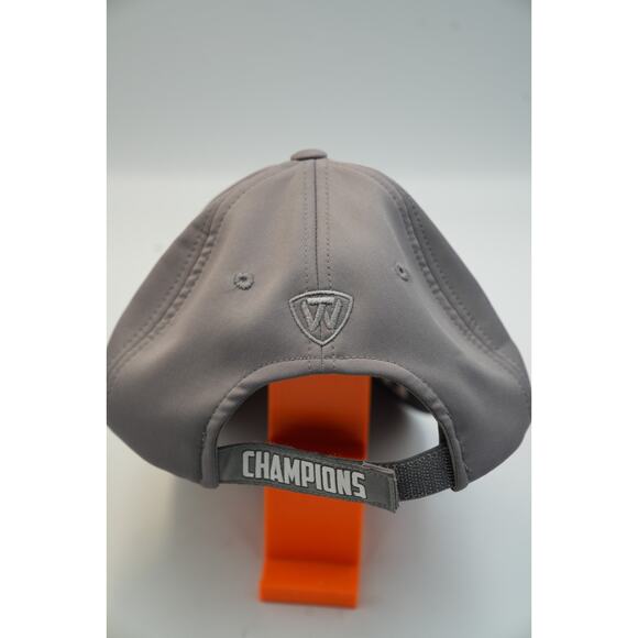 2015 Big Ten Football Champions Hat – Michigan State Spartans Gray Adjustable Ca - Picture 3 of 4